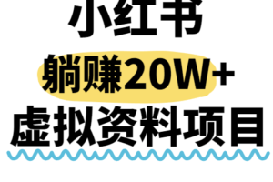 小红书操作虚拟资料，搬运工模式躺挣20W+，互联网的低成本路子！-麦资源网