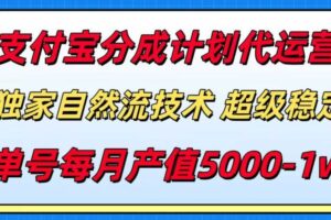 （15592期）支付宝分成计划代运营，最新自然流技术，收益稳定，单号月产5000＋！-麦资源网