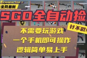 CSGO自动捡漏项目，最新独家玩法，一个手机即可操作。新手小白轻松月入1W+-麦资源网