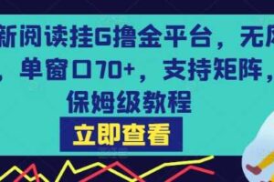 最新阅读挂G撸金平台，无风控，单窗口70+，支持矩阵，保姆级教程【揭秘】-麦资源网