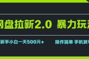 （15759期）网盘拉新2.0，暴力玩法，新手小白一天轻松500，操作简单-麦资源网