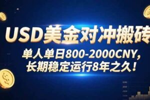 （15551期）USD美金对冲搬砖!单人单日800-2000CNY，长期稳定运行8年之久!-麦资源网