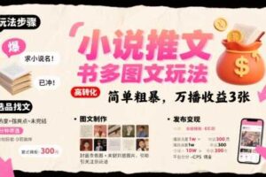 小说推文小红书多图文玩法，简单粗暴，万播收益3张-麦资源网
