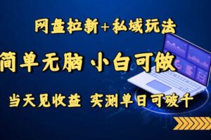 （15744期）网盘拉新+私域玩法，简单无脑，小白可做，当天见收益，实测单日可破千-麦资源网
