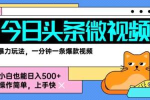 今日头条AI微视频玩法，最新前沿变现玩法拆解，零门槛，新手轻松日入5张-麦资源网