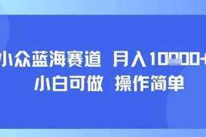 小众蓝海赛道，小白可做，操作简单，每天30分钟，月入1W+-麦资源网