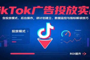 TikTok广告投放实战，含投放模式、后台操作，讲计划建立、数据监控与指标解读技巧-麦资源网