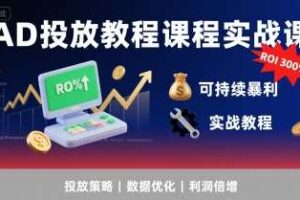AD投放教程课程实战课，实现广告ROI300%+可持续暴利-麦资源网