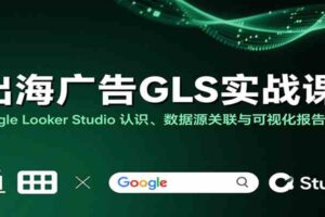 出海广告GLS实战课：Google Looker Studio 认识、数据源关联与可视化报告制作-麦资源网