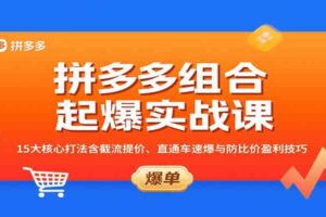 拼多多组合起爆实战课：15大核心打法含截流提价、直通车速爆与防比价盈利技巧-麦资源网