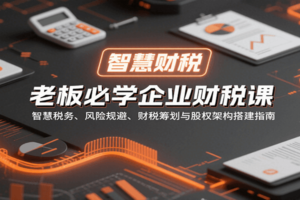老板必学企业财税课：智慧税务、风险规避、财税筹划与股权架构搭建指南-麦资源网