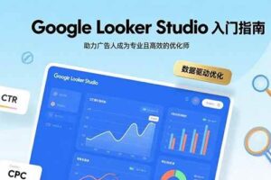 (15815期)Google Looker Studio入门指南,助力广告人成为专业且高效的优化师-麦资源网