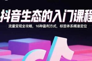 （15856期）抖音生态的入门课程：流量变现全攻略，16种盈利方式，标签体系精准定位-麦资源网