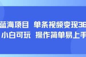 8月AI蓝海项目，单条视频变现1k+ 小白可玩 操作简单易上手-麦资源网