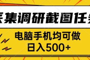 （15868期）采集，调研，截图任务，电脑手机均可做，日入500+-麦资源网