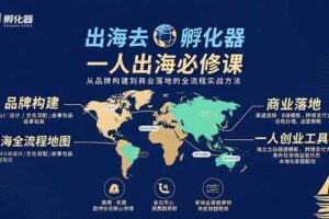 （15857期）出海去 孵化器 一人出海必修课：从品牌构建到商业落地的全流程实战方法-麦资源网