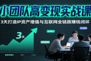 小团队高变现实战课，3天打造IP资产增值与互联网全链路赚钱闭环-麦资源网