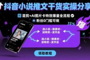 抖音小说推文干货实操分享，混剪+AI图片卡特效爆量全流程，0粉丝0门槛可做-麦资源网