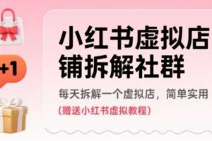 小红书虚拟店铺拆解社群，每天拆解一个虚拟店，简单实用(赠送小红书虚拟教程)-麦资源网