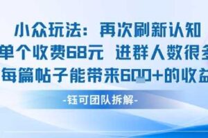 小众玩法再次刷新认知单个收费68米进群人数很多每篇帖子能带来6张的收益-麦资源网