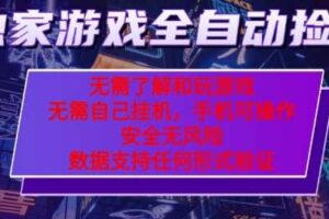 游戏全自动捡漏项目，最新独家玩法，每天操作几十分钟，无任何难度，当天见收益【揭秘】-麦资源网