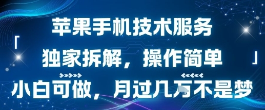 苹果手机技术服务，*拆解，操作简单，小白可做，月过1W不是梦