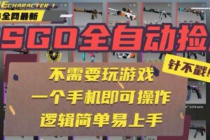 （15679期）CSGO自动捡漏项目，最新玩法，不用挂机不用玩游戏，一个手机即可操作。…-麦资源网