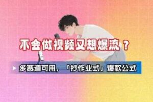 不会做视频又想爆流？多赛道可用，「抄作业式」爆款公式-麦资源网