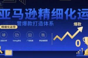 亚马逊精细化运营爆款打造体系,视频课+全套资料文档-麦资源网