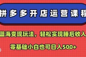 拼多多开店运营课程：蓝海变现玩法，轻松实现睡后收入，零基础小白也可日入5张-麦资源网