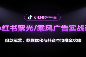 小红书聚光/乘风广告实战课：投放运营、数据优化与抖音本地推全攻略-麦资源网