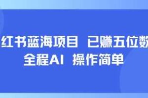 小红书蓝海项目，全程AI，操作简单，已挣五位数-麦资源网