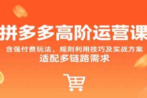 拼多多高阶运营课，含强付费玩法、规则利用技巧及实战方案，适配多链路需求-麦资源网