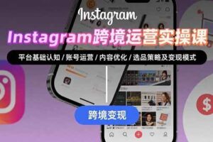 （15644期）Instagram跨境运营实战：平台认知/账号运营/内容优化/选品策略及变现模式-麦资源网