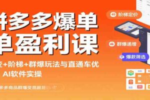 拼多多爆单盈利课：裂变+阶梯+群爆玩法与直通车优化、AI 软件实操-麦资源网