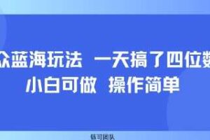小众蓝海玩法 一天搞了四位数 小白可做 操作简单-麦资源网