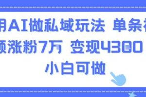 用AI做私域玩法，单条视频涨粉7W变现4.3k，小白可做-麦资源网