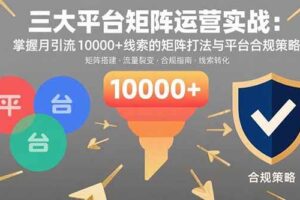 （15841期）三大平台矩阵运营实战：掌握月引流10000+线索的矩阵打法与平台合规策略-麦资源网