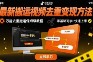 最新搬运视频去重变现方法，万能去重搬运保姆级教程-麦资源网