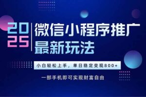 （15603期）25年下半年微信小程序推广最新玩法，轻松日入800+-麦资源网