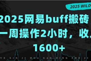 (15666期)2025网易buff搬砖,一周操作2小时,收入1600+-麦资源网