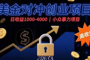 （15642期）美金对冲创业项目，日收益1000-4000，小众暴力项目-麦资源网
