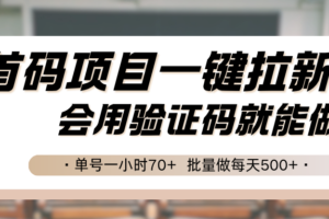 首码项目一键拉新，会用验证码就能做 单号一小时70+，批量做每天500+-麦资源网