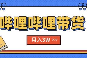 （15597期）B站哔哩哔哩带货秘籍，新风口，抢占红利，单月轻松破万【附SOP手册】-麦资源网