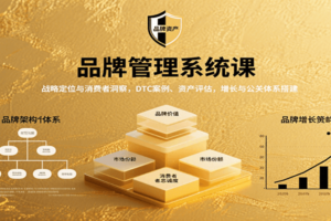品牌管理系统课:战略定位与消费者洞察,DTC案例、资产评估,增长与公关体系搭建-麦资源网