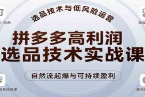 拼多多高利润选品技术实战课，手把手教学自然流高投产起爆，实现低风险可持续盈利-麦资源网