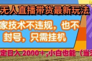 淘宝无人直播带货最新玩法，独家技术不违规，也不封号，全自动运行，只需挂着，  稳定日入2k【揭秘】-麦资源网
