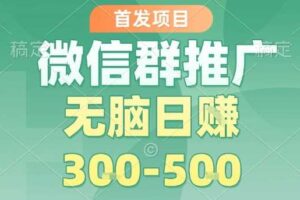 首发项目，微信群推广，一天15单，每单利润10米，无脑日入3-5张【揭秘】-麦资源网