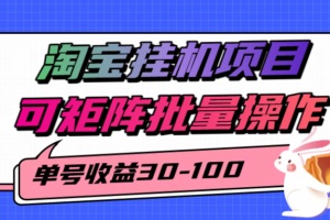 揭秘2025最新淘宝挂机项目,单号30-100,可矩阵批量操作(附工具)-麦资源网