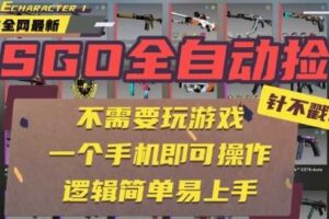 CSGO自动捡漏项目，最新独家玩法，一个手机即可操作，新手小白轻松月入1W+，操作简单易上手【揭秘】-麦资源网